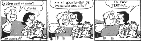 Tira de Garfield